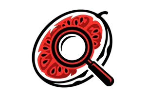 VIVO S16 PRO - 吃瓜社Logo